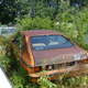 Image for article titled A Michigan Town Is Forcing This Man To Sell 20 Old Cars Off His Property Every Month